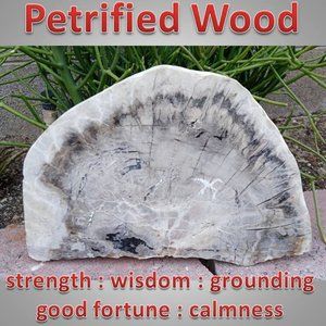 HUGE PETRIFIED WOOD stone rock slab!!  #1  FORTUNE STRENGTH CALMNESS 12925